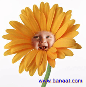 http://www.banaat.com/image/Funphotor_10.gif