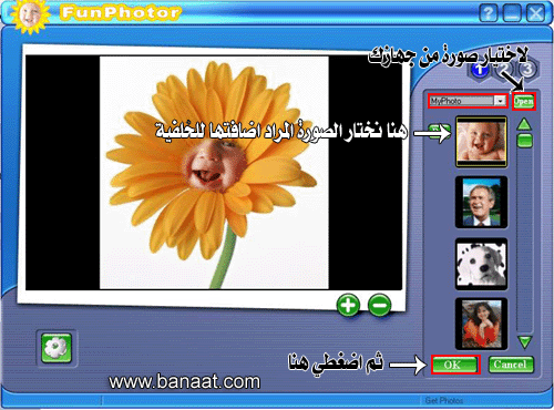 http://www.banaat.com/image/Funphotor_4.gif