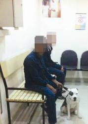 احتجاز كلبة “عضت” كلب دبلوماسية أمريكية بالكويت
