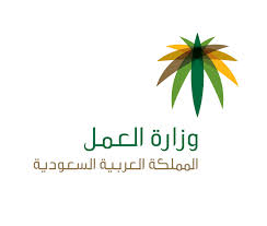 وزارة العمل : البدء في استقدام العمالة المنزلية الإندونيسية